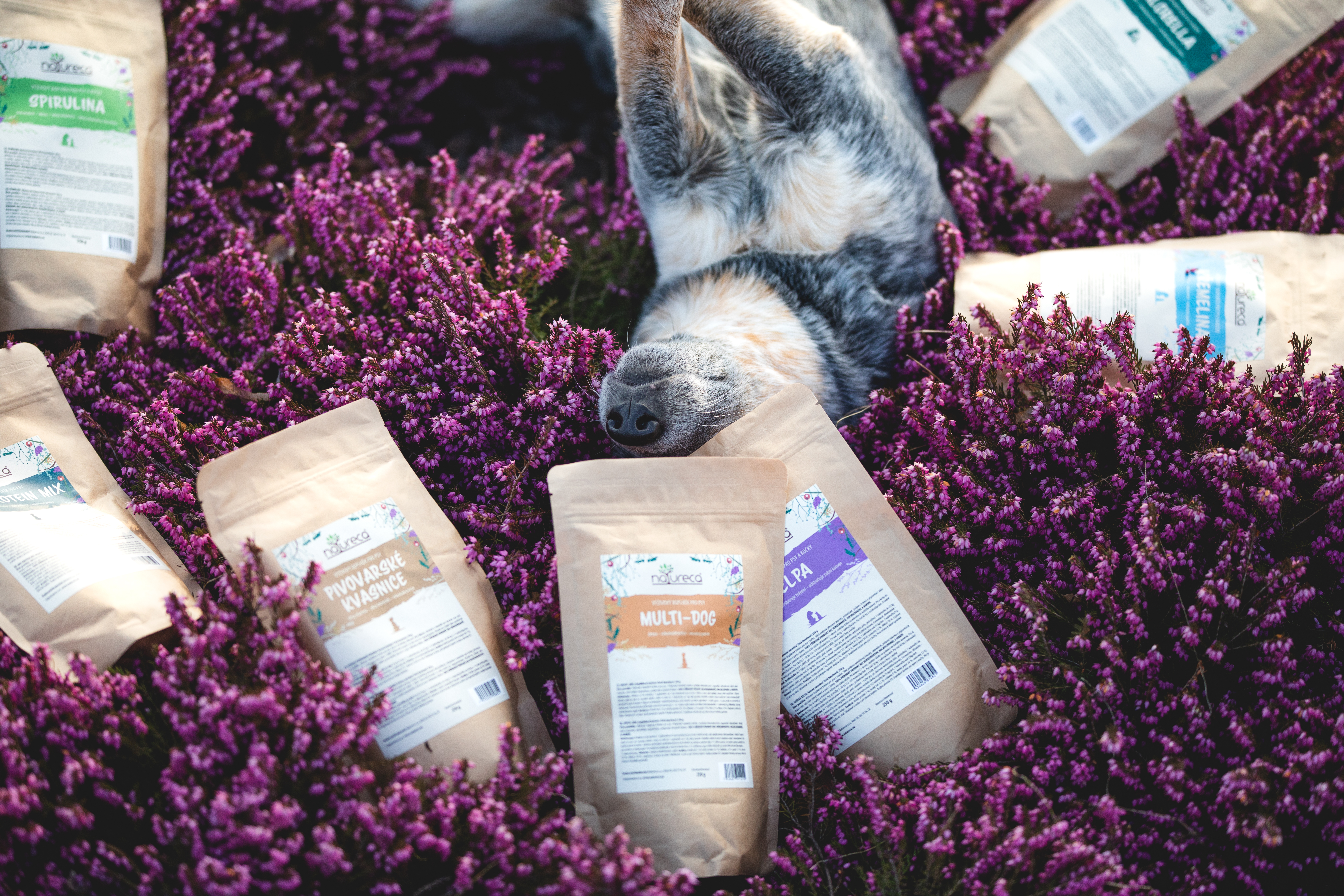 Natureca® doplnky stravy